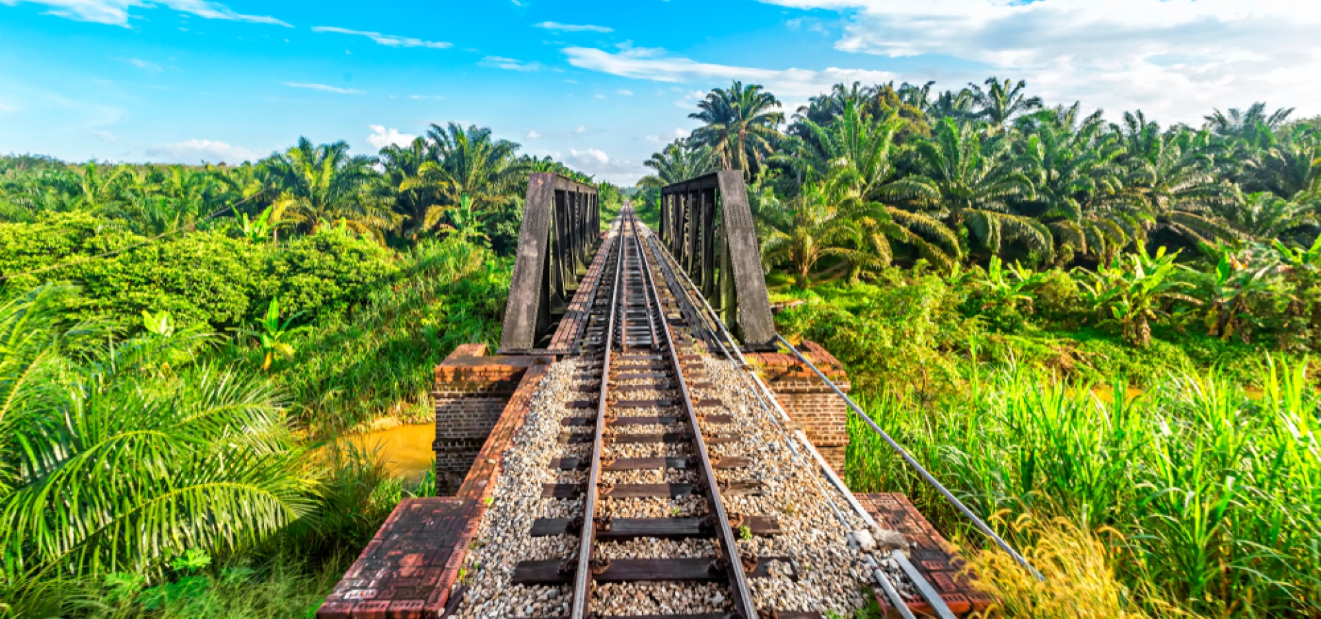 railway-from-singapore-to-bangkok-jungle-malaysia_769656979_web