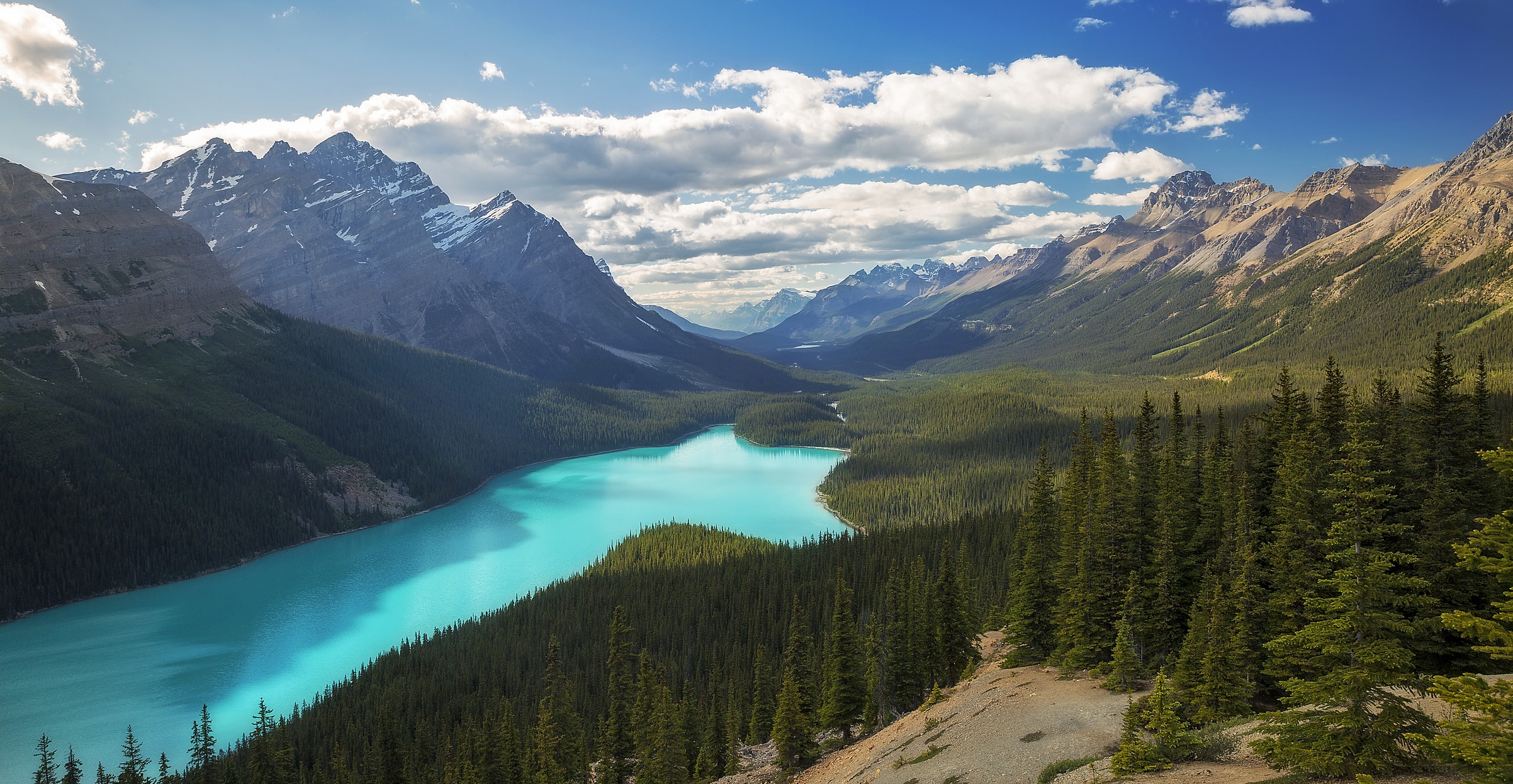 A lake with turquoise waters surrounded by forests and the Canadian Rocky Mountains.